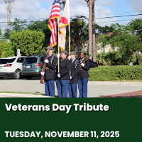 Veterans Day Tribute Ceremony