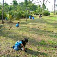 Kids in grass