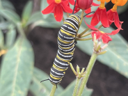 Nature & Wildlife Category Winner | Andrew West | Capture the Beauty of Greenacres 2025 Nature & Wildlife Category Winner | Andrew West | Capture the Beauty of Greenacres 2025