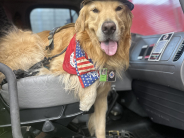 Special Events & Programs Category Winner | Charlene Rothe | Capture the Beauty of Greenacres 2025 Special Events & Programs Category Winner | Charlene Rothe | Capture the Beauty of Greenacres 2025