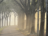 Parks & Landmarks Category Winner | Jenny Apple-Santoro | Capture the Beauty of Greenacres 2025 Parks & Landmarks Category Winner | Jenny Apple-Santoro | Capture the Beauty of Greenacres 2025