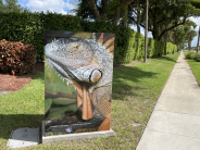 Utility Box Wrapped With Iguana Image