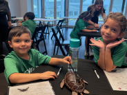 Summer Camp Summer Camp