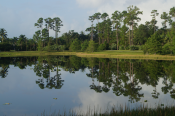 Image of a lake with trees mirrored on the water