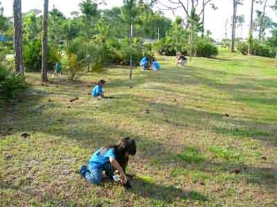 Kids in grass